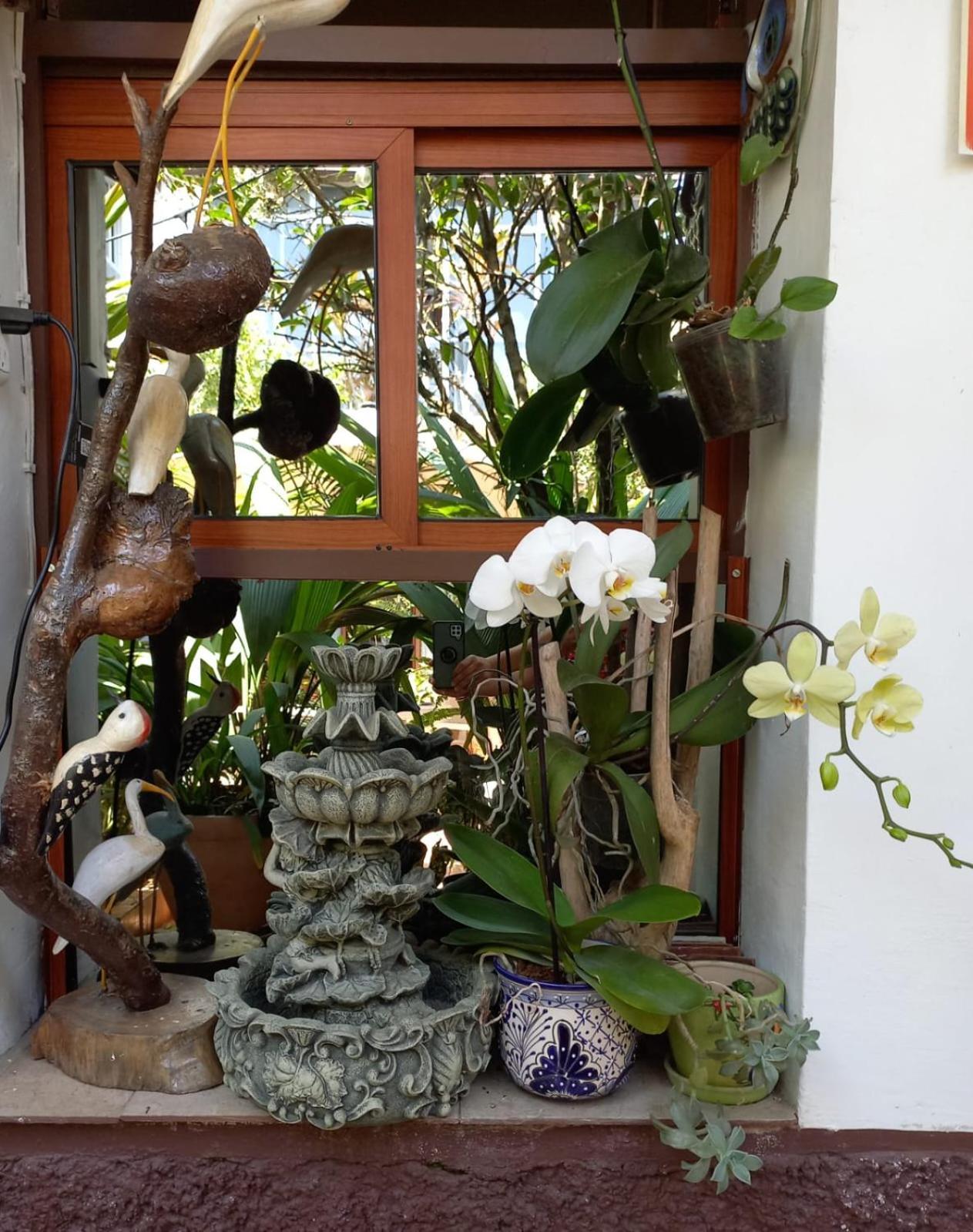 Posada Galeria Alberto Sedas Huatusco Luaran gambar
